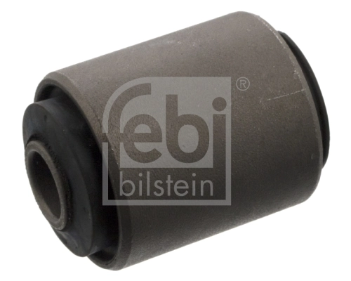 Mounting, control/trailing arm